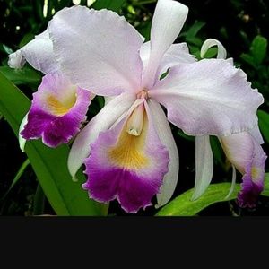 Meet your Posher, Joanna